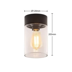 Arcchio Liljana utendørs taklampe, IP65, svart| Kommersiell Utebelysning|Taklamper Utendørs