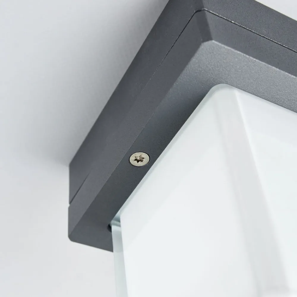 BEGA 22432K3 utendørs LED-vegglampe, grafitt 3000K| Kommersiell Utebelysning|Vegglamper Utendørs