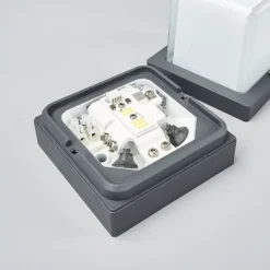 BEGA 22432K3 utendørs LED-vegglampe, grafitt 3000K| Kommersiell Utebelysning|Vegglamper Utendørs