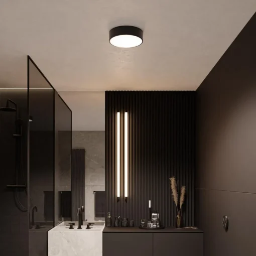 TEMAR LIGHTING Cleo taklampe, Ø 20 cm, IP54, svart, metall, E27 New