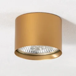 Argon Downlight Chloe fast, gull Clearance