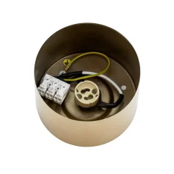 Argon Downlight Chloe fast, stål messingfarget| Spotter I Tak