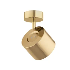 Argon Downlight Chloe, svingbar, 1 lyskilde, stål messingfarget| Spotter I Tak|Taklamper