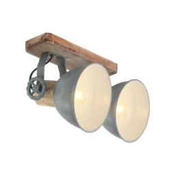 Steinhauer Downlight Gearwood, 2 lyskilder, grå| Spotter I Tak|Taklamper