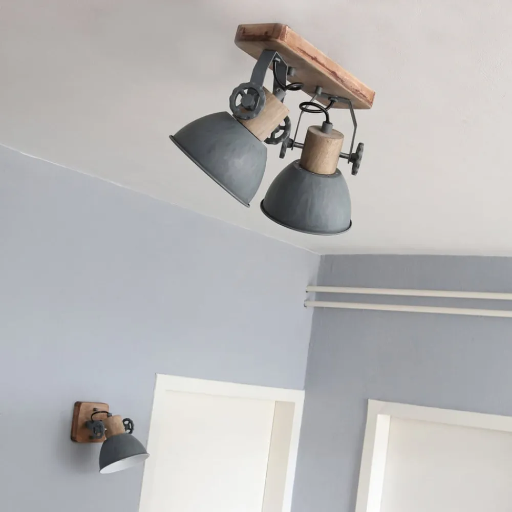 Steinhauer Downlight Gearwood, 2 lyskilder, grå| Spotter I Tak|Taklamper