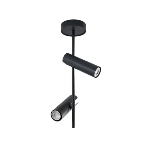 SIGMA Downlight Leda 2, antrasitt, 2 lyskilder, stål, høyde 55 cm| Spotter I Tak