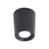 Fumagalli Downlight Livia Ø 6 cm svart/frostet kunstharpiks G9 4 000K| Taklamper Utendørs