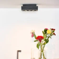 Lucide Downlight Xirax, 2 lyskilder, svart| Spotter I Tak