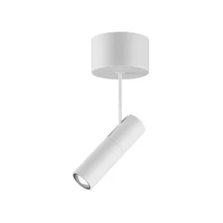 Egger Licht EGG DLS Zooom XL T downlight, 2700K hvit aluminium, dimbar Online
