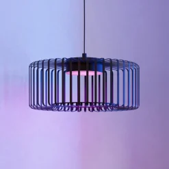 EGLO connect LED-hengelampe Ginestrone-Z, 1 lyskilde, svart Discount