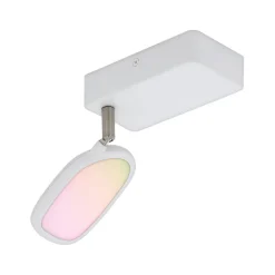 EGLO connect Palomable-C LED-takspot 1 lyskilde Clearance