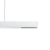 ERCO Compar P DALI oval wide hvit/svart 930| Skinnesystem