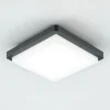 EVN LED utendørs taklampe Tectum, 23x23 cm, antrasitt, 150°, 150| Taklamper Utendørs