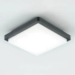 EVN LED utendørs taklampe Tectum, 23x23 cm, antrasitt, 150°, 150| Taklamper Utendørs