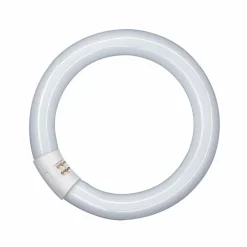 OSRAM G10q 22W 865 Lumilux T9C sirkellysrør New