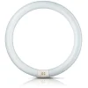 Philips G10q 22W 840 lysstoffring Master Circular TL-E Best