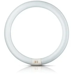 Philips G10q 40W 840 lysstoffring Master Circular TL-E| Lysrør|Lysrør