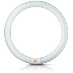 Philips G10q 22W 865 lysstoffring Master Circular TL-E| Lysrør|Lysrør