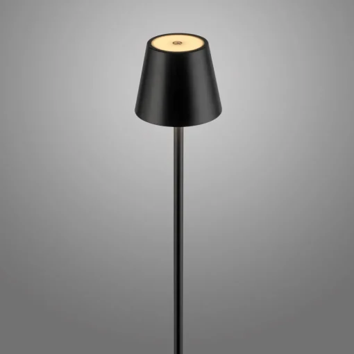 JUST LIGHT. GmbH JUST LIGHT. Euria LED-gulvlampe, svart, jern, IP54 Hot