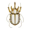 KARE veggobjekt Beetle Mirror, polyresin, glass, gull| Møbel Og Interiør