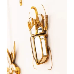 KARE veggobjekt Beetle Mirror, polyresin, glass, gull| Møbel Og Interiør