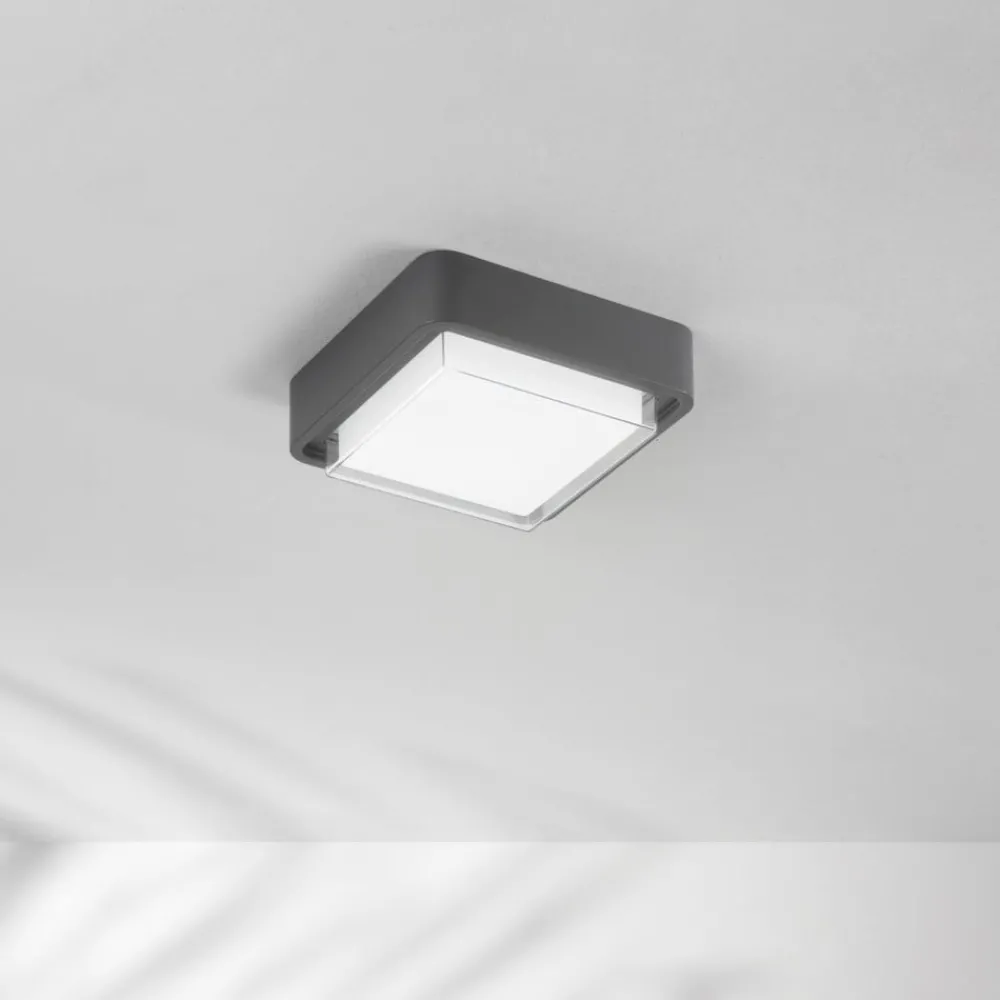 Fabas Luce LED utendørs taklampe Diuk, mørkegrå, metall, IP65| Taklamper Utendørs