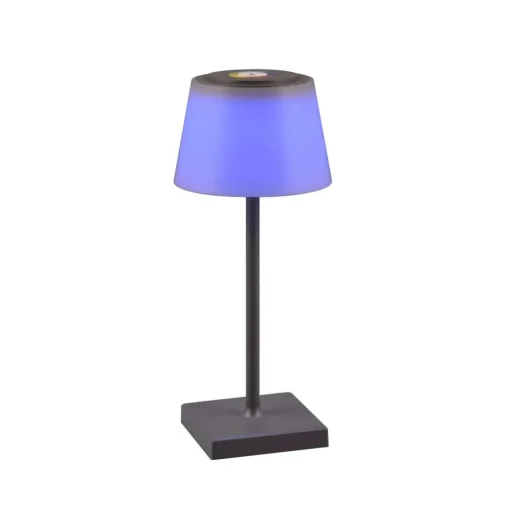 Reality Leuchten LED-bordlampe Sanchez, RGBW og dimmer, antrasitt| Terrassebelysning