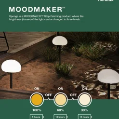 Nordlux LED-bordlampe Sponge table med 21,5 cm batteri Online