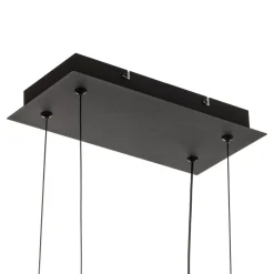 Trio Lighting LED-hengelampe Salinas, 3 000 K, matt svart New