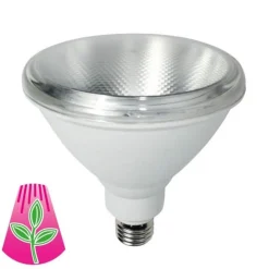 Bioledex LED-plantepære E27, PAR38, 10W, fullspektret