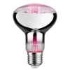 Paulmann LED-plantepære E27 R80 6,5W| Teknisk Lys|E27 Pærer