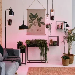 Paulmann LED-plantepære E27 R80 6,5W| Teknisk Lys|E27 Pærer