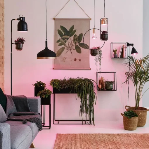 Paulmann LED-plantepære E27 R80 6,5W| Teknisk Lys|E27 Pærer