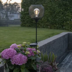 STAR TRADING LED-solcelle-gatelys Sunlight med jordspyd Sale