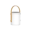 FH Lighting LED-solcellelampe Bari, batteri og fjernkontroll New