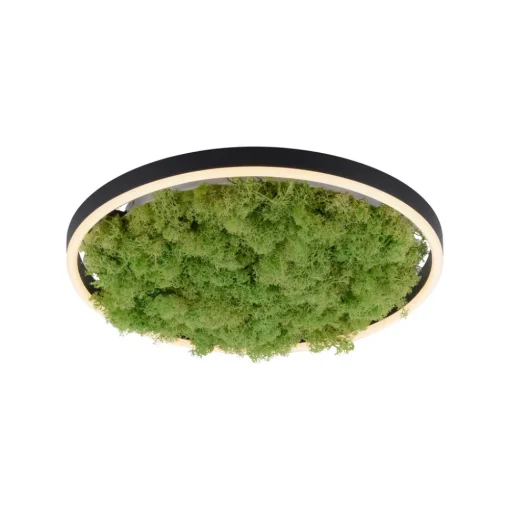JUST LIGHT. GmbH LED-taklampe Green Ritus, mose, dimbar Ø39,3 cm Hot