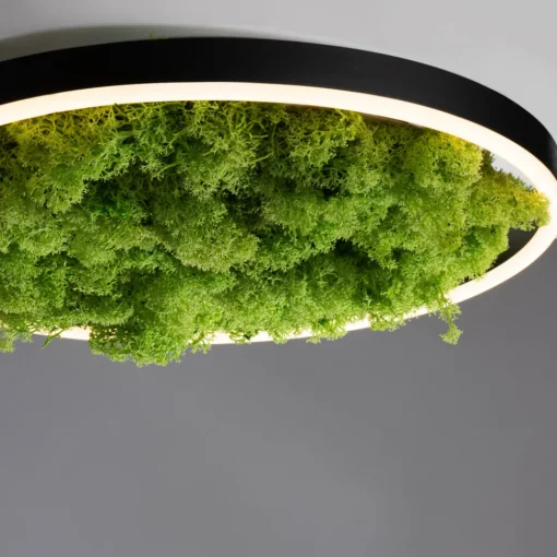 JUST LIGHT. GmbH LED-taklampe Green Ritus, mose, dimbar Ø39,3 cm Hot
