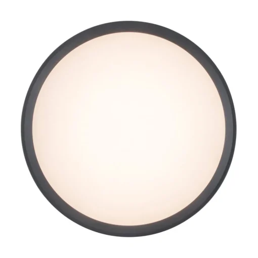 LUTEC LED-taklampe Rola, utendørs, antrasitt, Ø 18 cm Hot