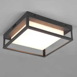Trio Lighting LED-taklampe Witham IP54, CCT, antrasitt, utendørs Outlet