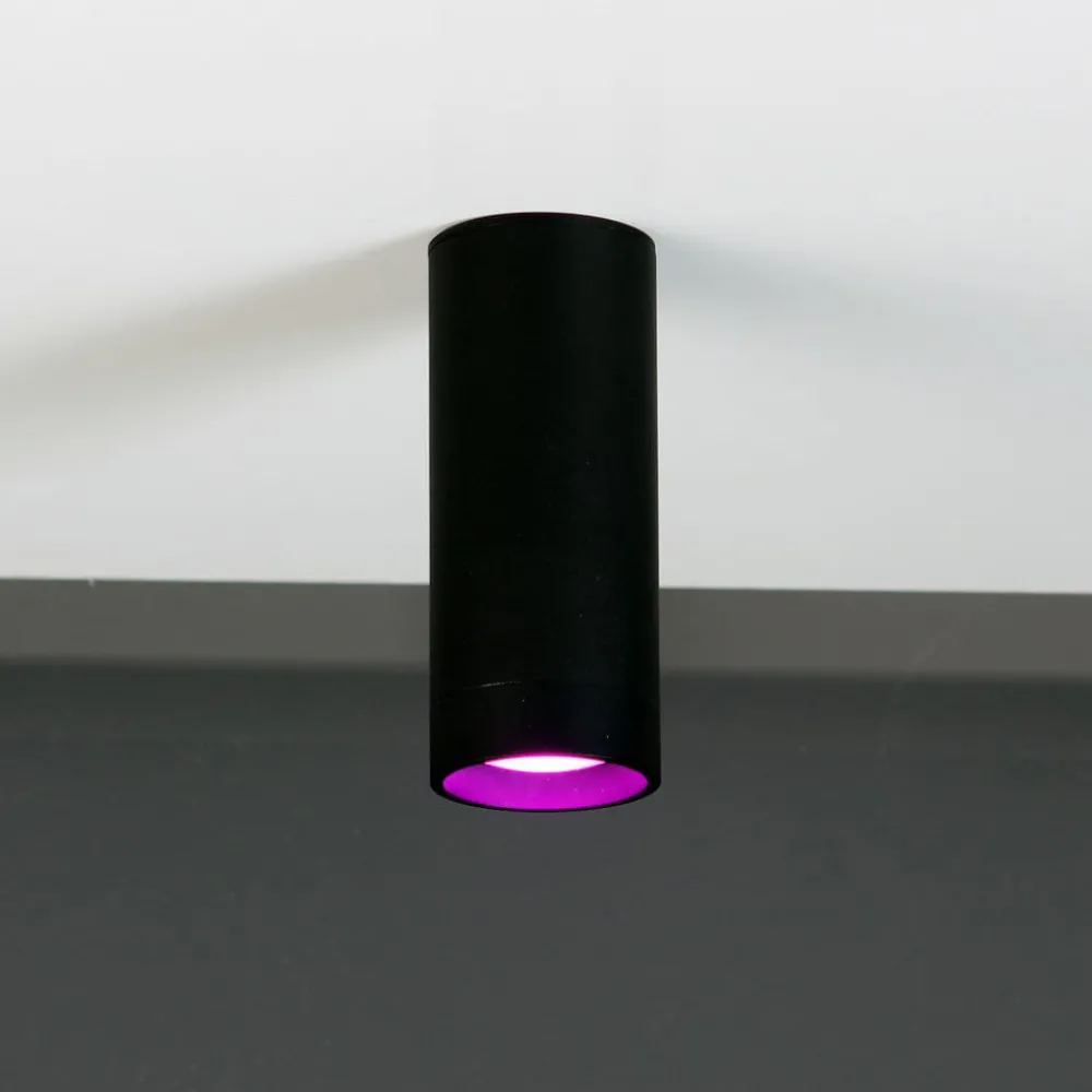 LUTEC LED-takspot Stag, CCT og RGBW, svart Online