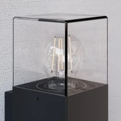Lucande Keke utendørs vegglampe med sensor| Vegglamper Med Sensor|Utebelysning Med Sensor