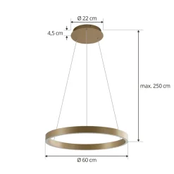 Lucande Smart LED-pendellampe Yonam, gull, 1-lys, Tuya Outlet