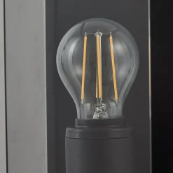 Lucande utendørs vegglampe Annalea, røykgrå, IP54, sensor| Vegglamper Med Sensor|Utebelysning Med Sensor