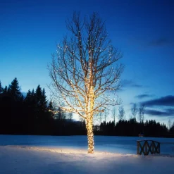 Markslöjd Lyslenker Chrissline Extra 50 LED 2 850K| Julebelysning