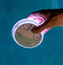 Newgarden Papaya LED-bassenglampe IP68 RGBW New