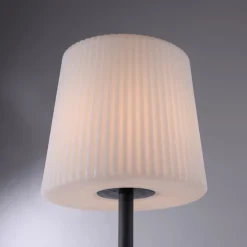 Paul Neuhaus bordlampe Falter, IP65, høyde 60 cm| Dekorasjonsbelysning|Bordlamper