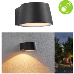 Paulmann Capea utendørs vegglampe i antrasitt aluminium| Kommersiell Utebelysning|Led-Utendørs