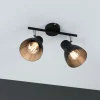 Paulmann Davy taklampe, svart, 2 lyskilder Hot