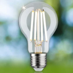 Paulmann Eco-Line LED-pære E27 4W 840lm 3 000 K
