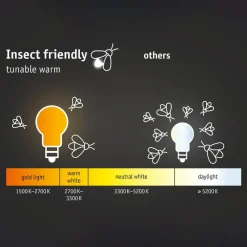 Paulmann Ikosea utendørs LED-vegglampe, ZigBee 3.0| Vegglamper Med Sensor|Smarthus Utebelysning